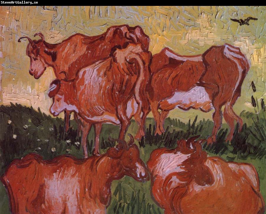 Vincent Van Gogh Cows (nn04)